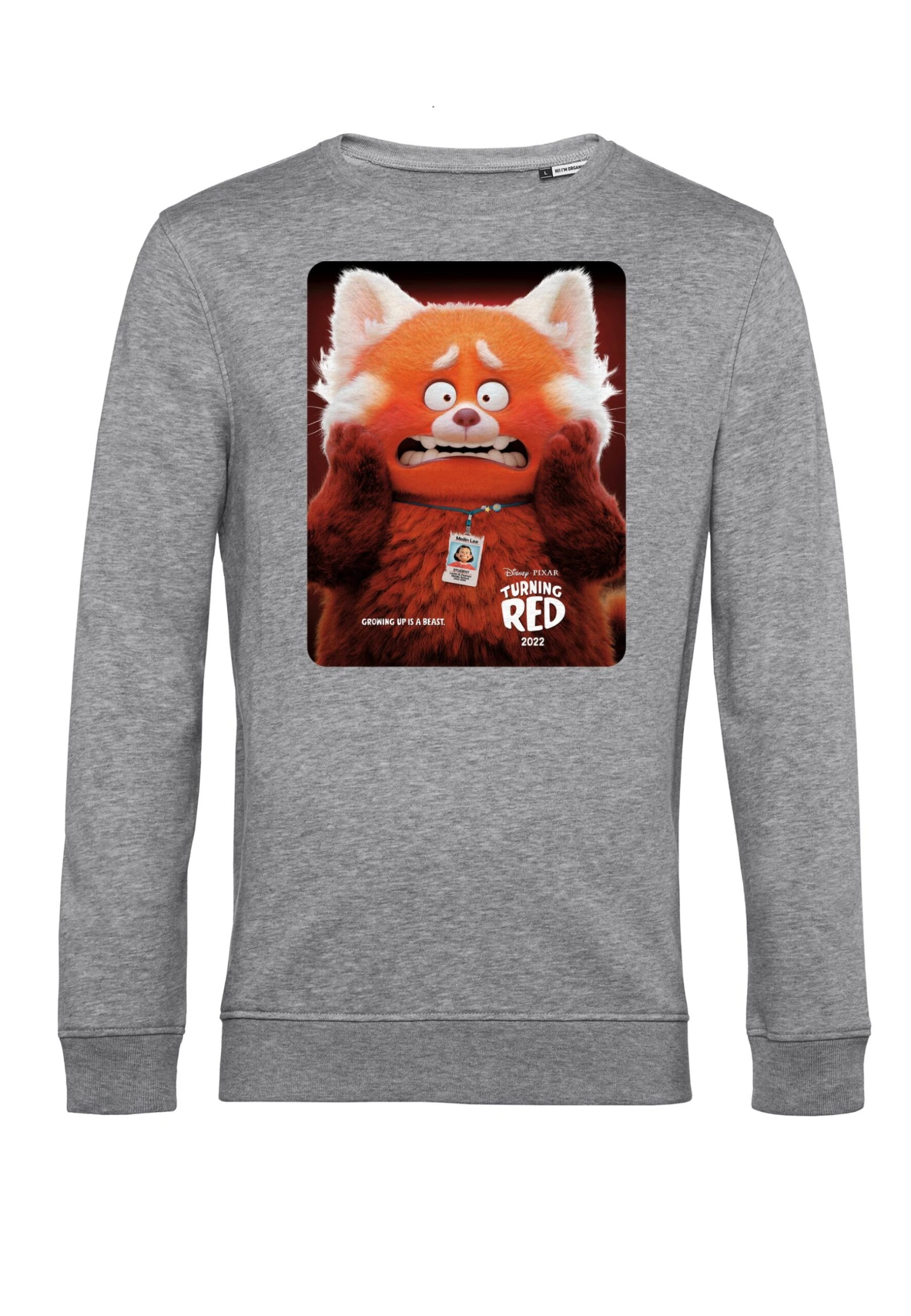 Disney Turning Red Panda PosterFelpaHeather Grey Donna Felpe H3A21J6M5-C11 4 Disney Turning Red Panda PosterFelpaHeather Grey Donna Felpe H3A21J6M5-C11 - immagine 4